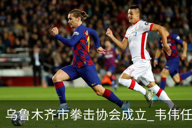 乌鲁木齐市拳击协会成立 韦伟任会长